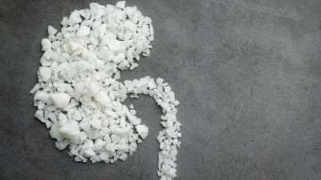 Link between salt intake and rising kidney issues 