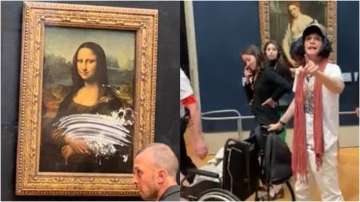 Mona Lisa painting attacked by cake