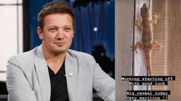 Hawkeye star Jeremy Renner