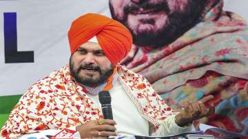 sidhu, punjab congress, sidhu letter, letter against sidhu