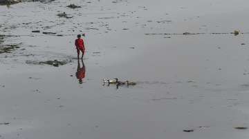 delhi water crisis, delhi water crisis yamuna, delhi yamuna river