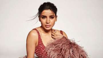 Samantha's blunt response to troll impresses fans