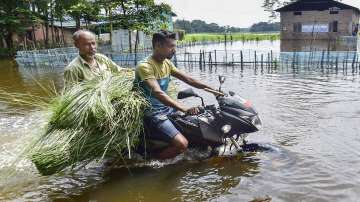 Assam flood, Assam flood death toll, Assam flood latest news, Assam flood most affected areas, Assam