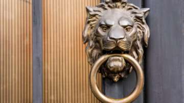 Vastu Tips: Keeping brass lion in THIS direction of the house will bring progress in business