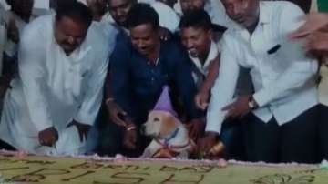 Shivappa Yellappa Maradi celebrating his dog Krish's birthday 