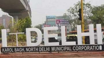 Delhi gets its stolen 'dil' back on World Environment Day 