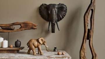 Vastu Tips: Keeping elephant pair in the house makes financial condition strong and married life bea