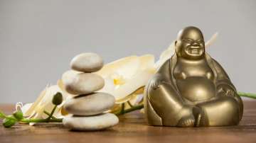 Vastu Tips: Troubled by financial crisis? Know how 'Laughing Buddha' can help you in solving this pr