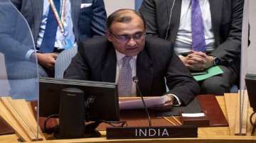 India’s Permanent Representative to the UN Ambassador T S Tirumurti