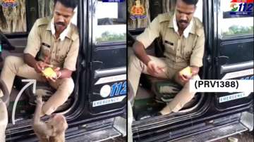Video of UP Police offering mango slices to a monkey goes viral. Impressed netizens say, 'Insaniyat 