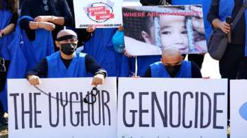 Uyghur genocide, Uyghur, China