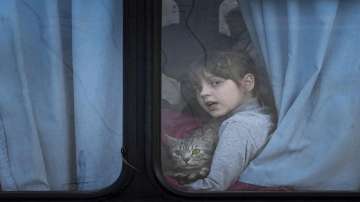 An Internally displaced child holding a pet cat looks out from a bus at a refugee center in Zaporizhia, Ukraine.