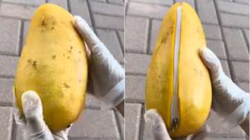Fruit or purse? Bizarre video of mango with a zipper leaves netizens confused | WATCH