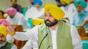 bhagwant mann, punjab cm, challan issued