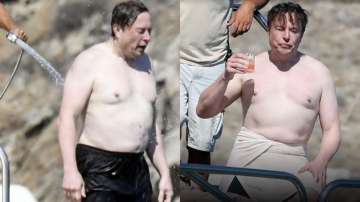 Elon Musk's shirtless pics are from his Greece vacation 