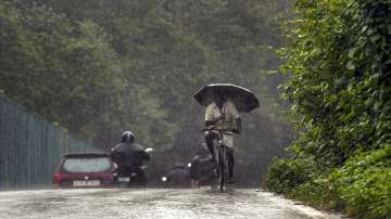 kerala rains, kerala rain news, kerala rain today