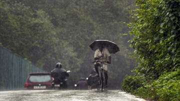 A man rides a bicycle under an umbrella amid monsoon rains, in Thiruvananthapuram