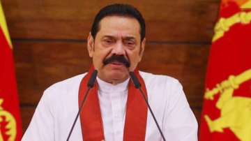 The petition filed on June 17 sought the court to restrict the overseas travel of the two Rajapaksa brothers.