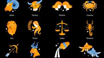 Image of zodiacs