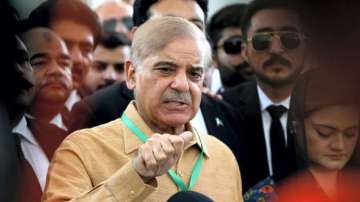 The Lahore Special Court (Central-I) declared Pak PM Shehbaz Sharif's (in pic) son Suleman and Tahir Naqvi proclaimed offenders.