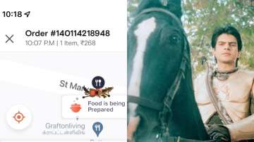 Swiggy offers Rs 5000 to identify man delivering food on horse during Mumbai rain; hilarious memes g