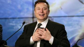 Elon Musk, Manchester United, Manchester United Elon Musk, 