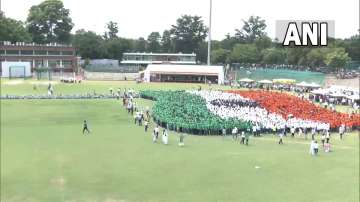 The title for this record is 'Largest Human Image of a Waving National Flag.' 