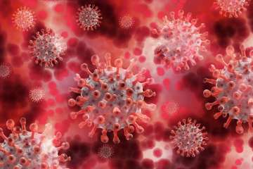 Researchers in China first detected this new virus as part of routine surveillance in people with a fever who had reported recent contact with animals. Once the virus was identified, the researchers looked for the virus in other people.