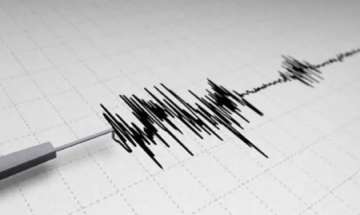 Rajasthan earthquake, Rajasthan tremors, Rajasthan earthquake today, Rajasthan news