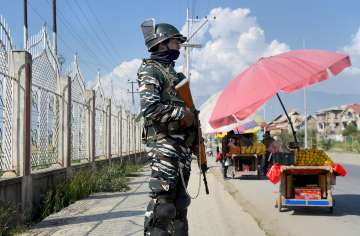 The police said some terrorists hurled a grenade in the Gopalpora Chadoora area of the Budgam district in Kashmir. 