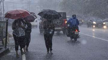 kerala rains