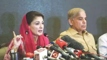 Maryam Nawaz, Maryam Nawaz leaked audio, Maryam Nawaz son in law, Maryam Nawaz Shehbaz Sharif