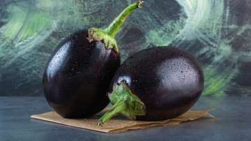 Side effects of Brinjal