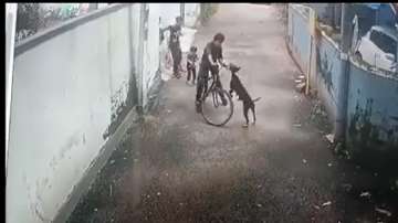 Dog attack case