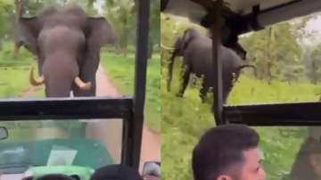 Frightening! Elephant chases a safari jeep in Mysore