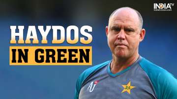 matthew hayden, Pakistan