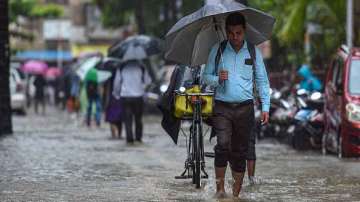 weather update, heavy rains, IMD alert