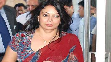 Niira Radia tapes, Niira Radia, Niira Radia news, Niira Radia latest news, Niira Radia photos, Niira