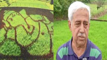 Pune-based Shrikant Ingalhalikar started creating paddy art in his field