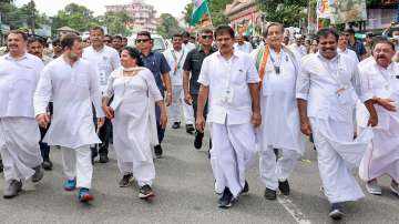 Bharat Jodo Yatra, Bharat Jodo Yatra Kerala, Bharat Jodo Yatra Rahul Gandhi, Bharat Jodo Yatra