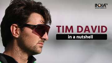 Tim David, T20I World Cup, 2022