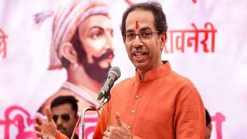 Shiv Sena, UP assembly polls, Lok Sabha polls, Lok Sabha elections