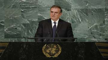 Foreign Minister Mexico, Marcelo Ebrard
