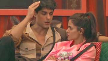 Bigg Boss 16: Priyanka & Ankit’s ugly fight