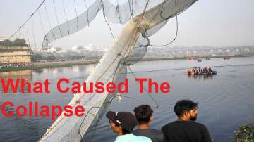 The incident exposes negligence 