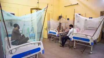 dengue, dengue cases in UP, Uttar Pradesh dengue cases, 