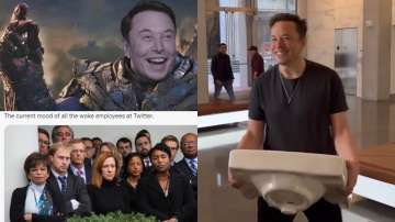 Elon Musk twitter hq video