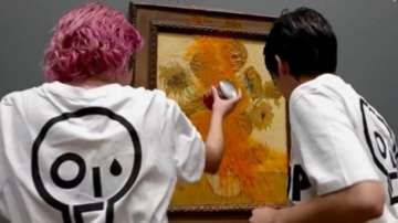 Two girls throw soup on Van Gogh's iconic painting