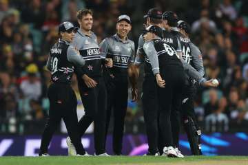 Tim Southee celebrating a wicket with his teammates.