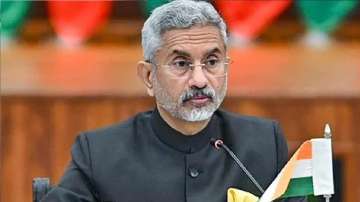 S Jaishankar calls for a united effort to bring Mumbai terror attack mastermind to justice